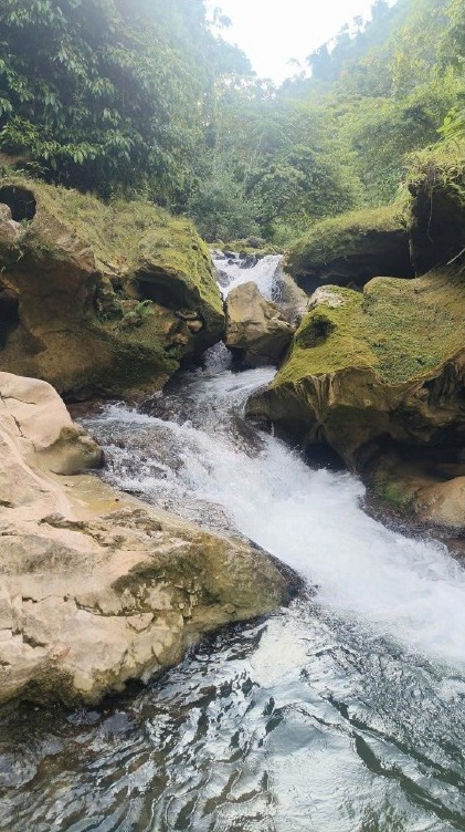 Водопады и зелёный ландшафт на фотографиях обследования территории